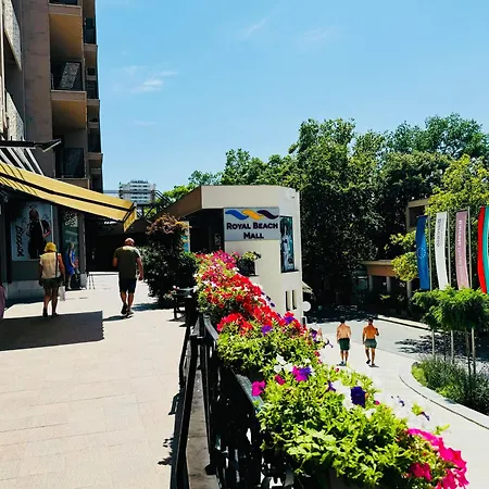 Royal Barcelo G404 Sunny סאני ביץ'